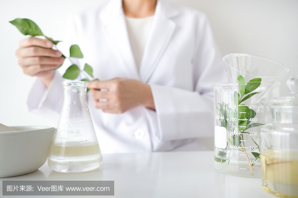 科学家、医生,在实验室里用有机天然的草药制作替代草药。油胶囊、天然有机护肤品、化妆品。